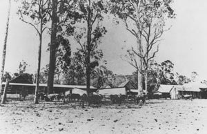 Mayfield Farm, Moorooka - 1920