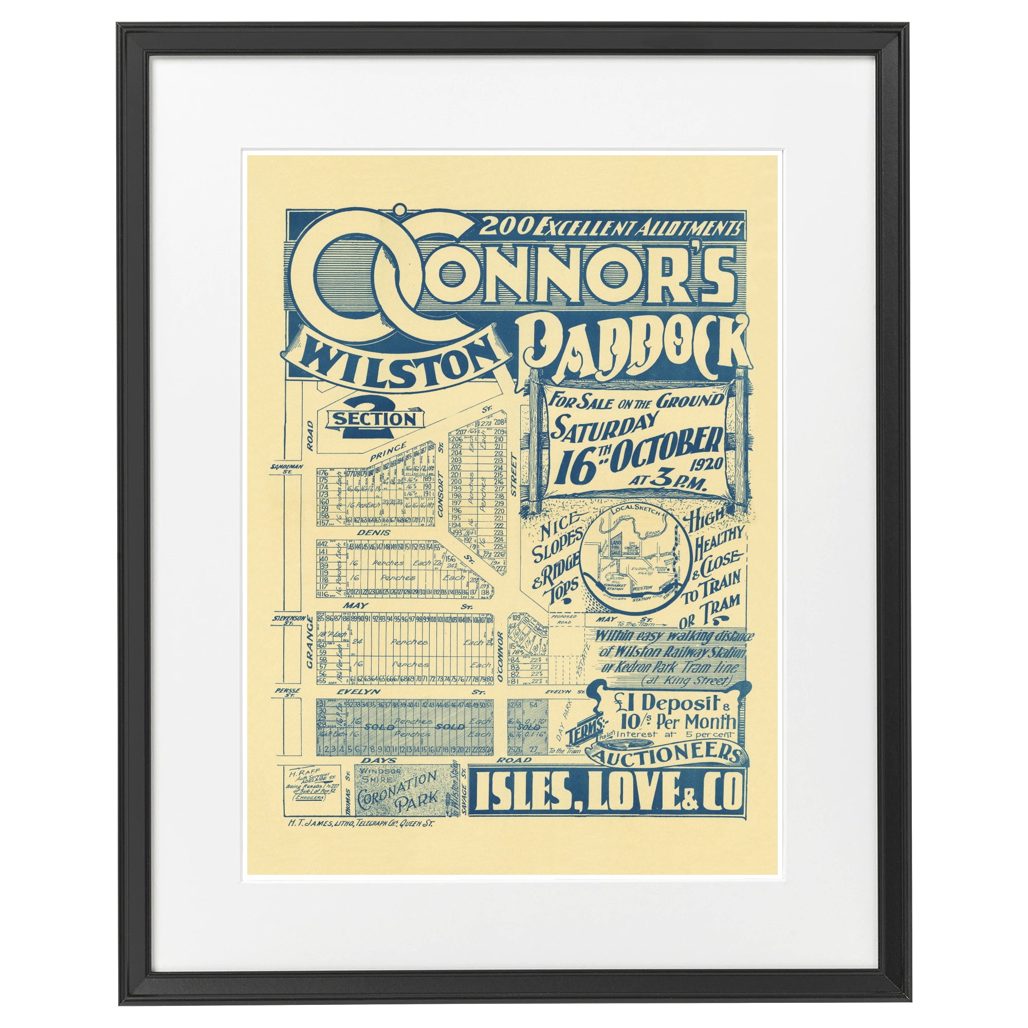 100 years old today - O'Connor's Paddock - Section 2 - Grange