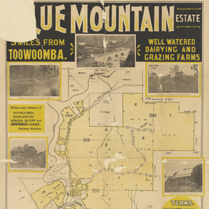 1905 Toowoomba - Blue Mountain Estate