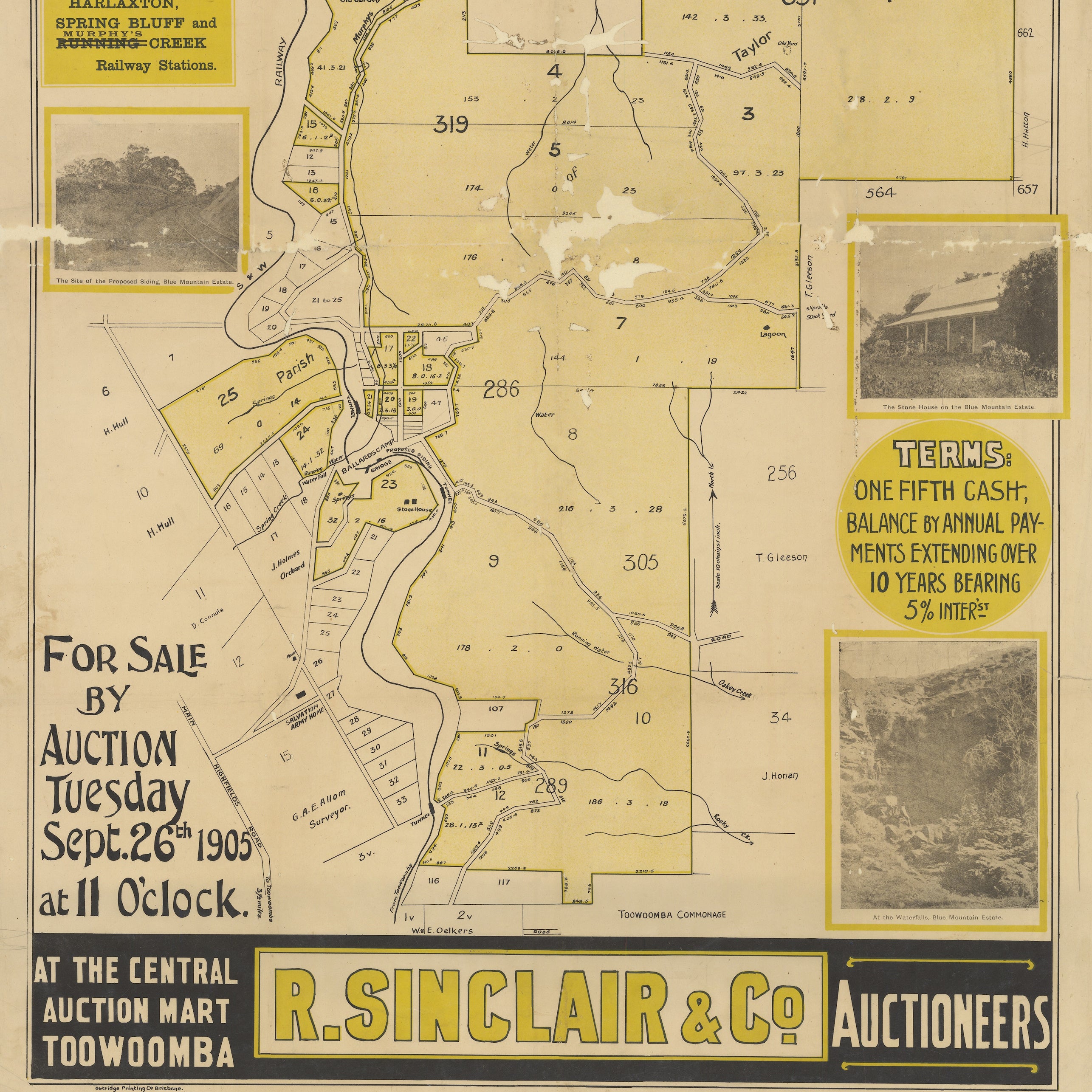 1905 Toowoomba - Blue Mountain Estate